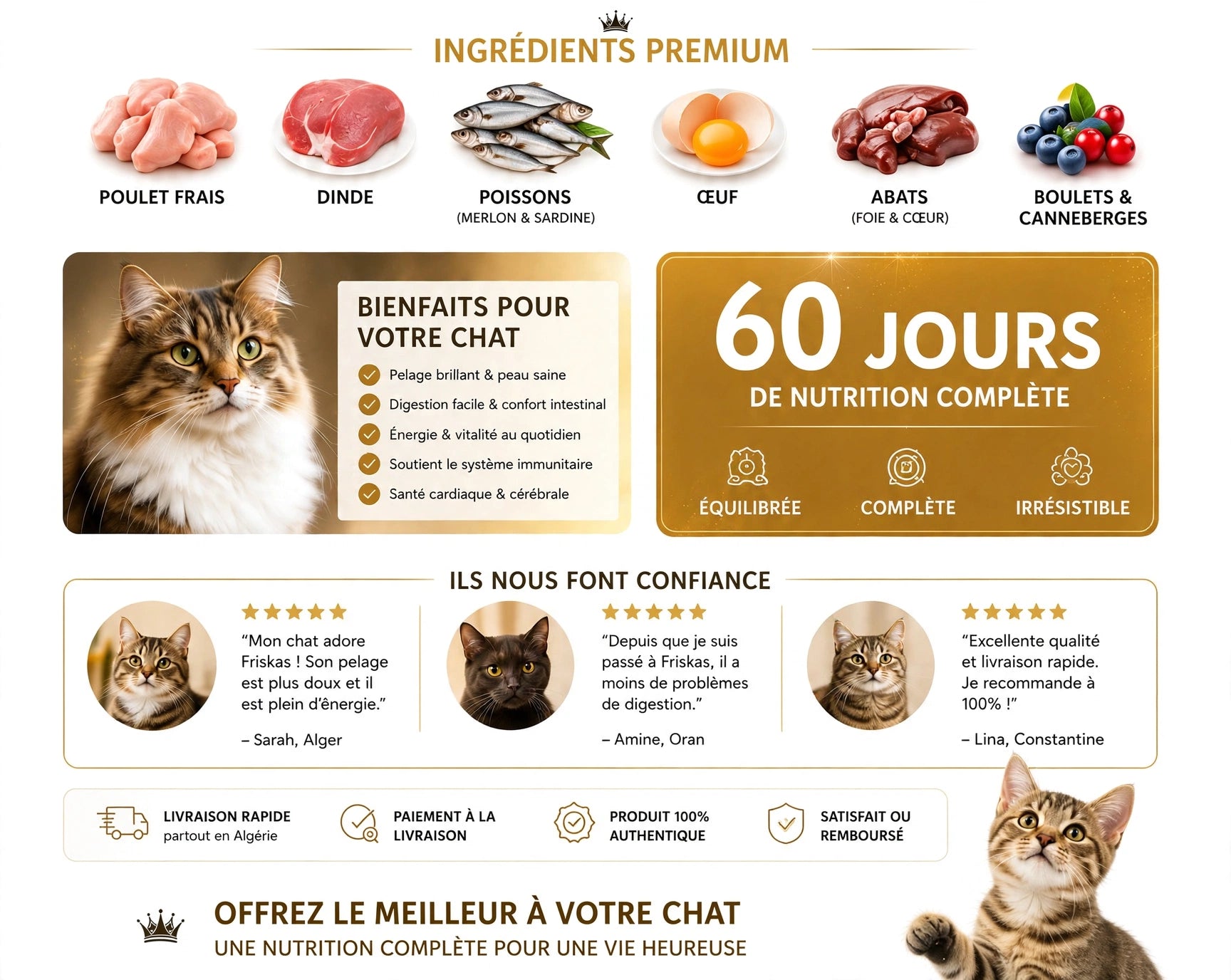 Croquettes Chat 3 Kg