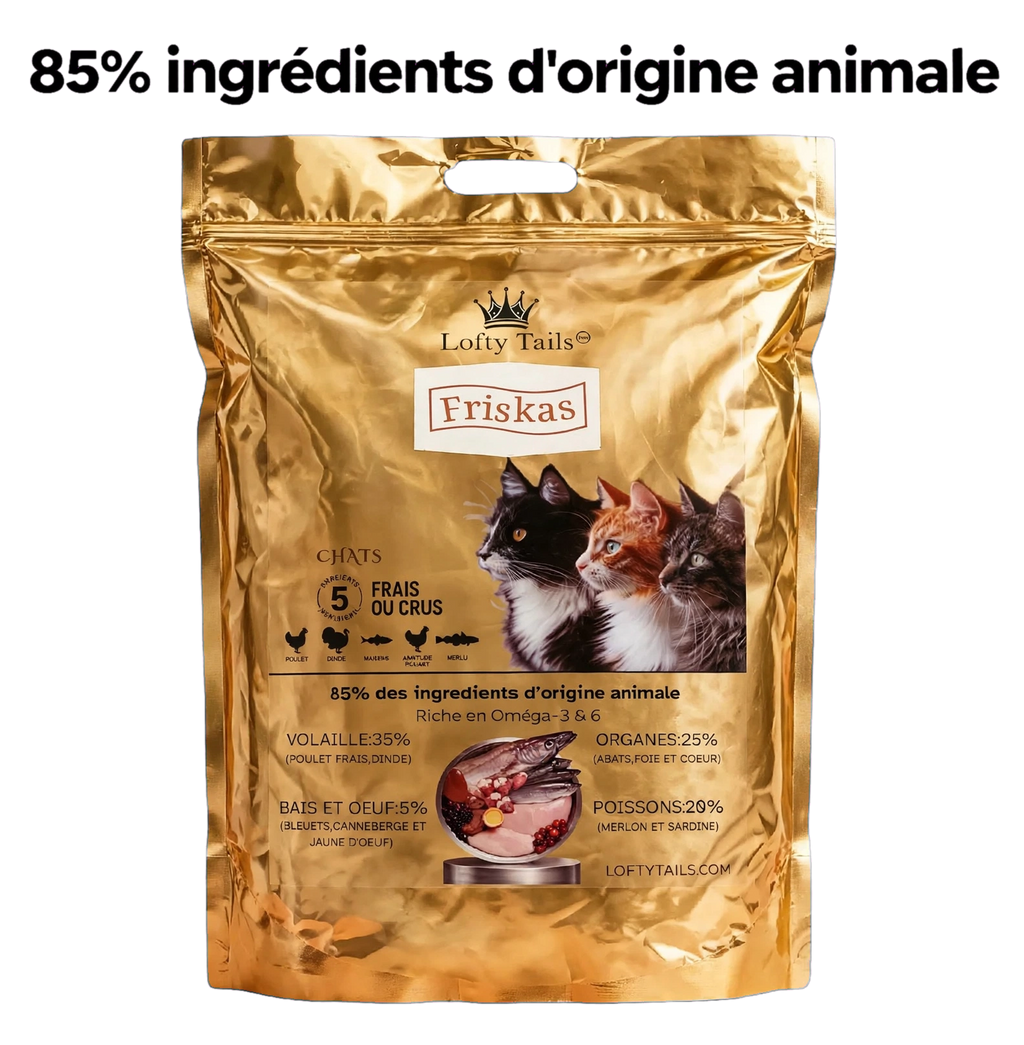 Croquettes Chat 3 Kg