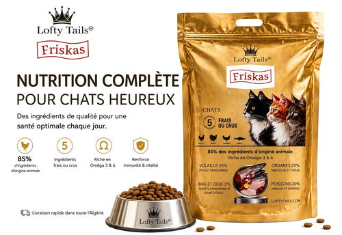 Croquettes Chat 3 Kg
